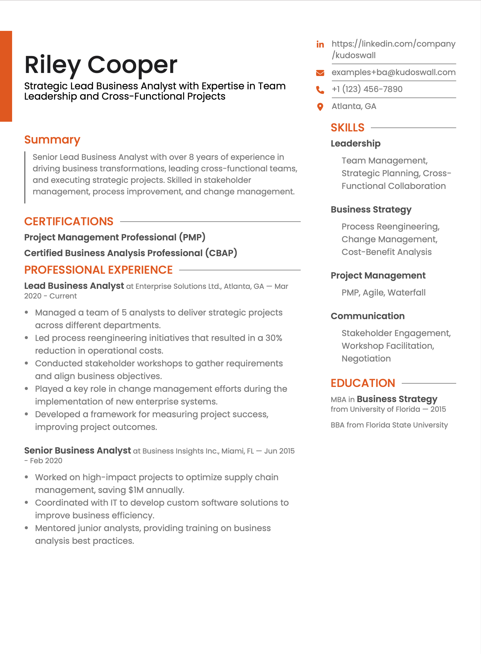 Lead Business Analyst Resume Example