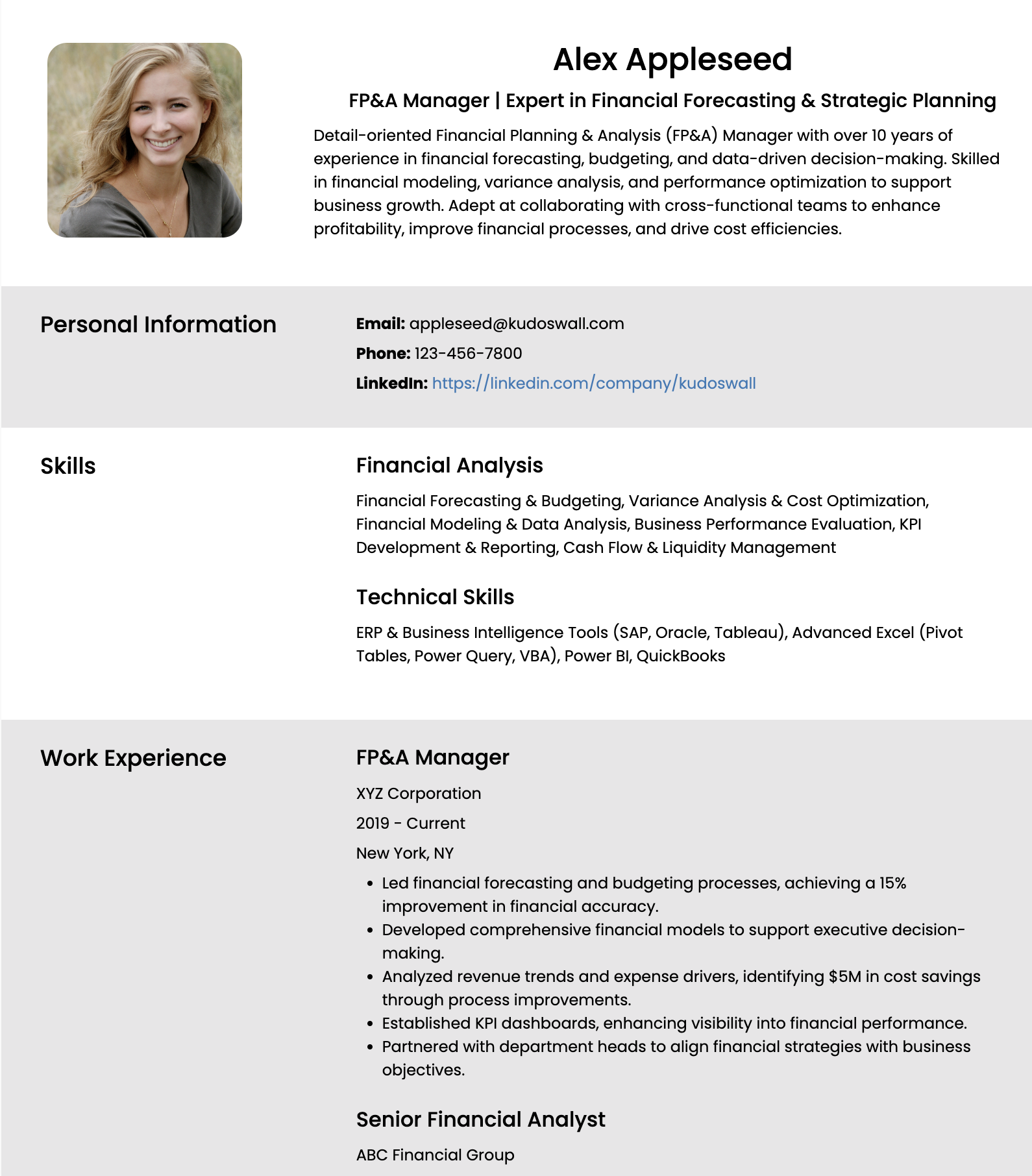 FP&A Manager Resume templates
