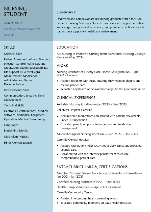 Nursing Student Resume Example